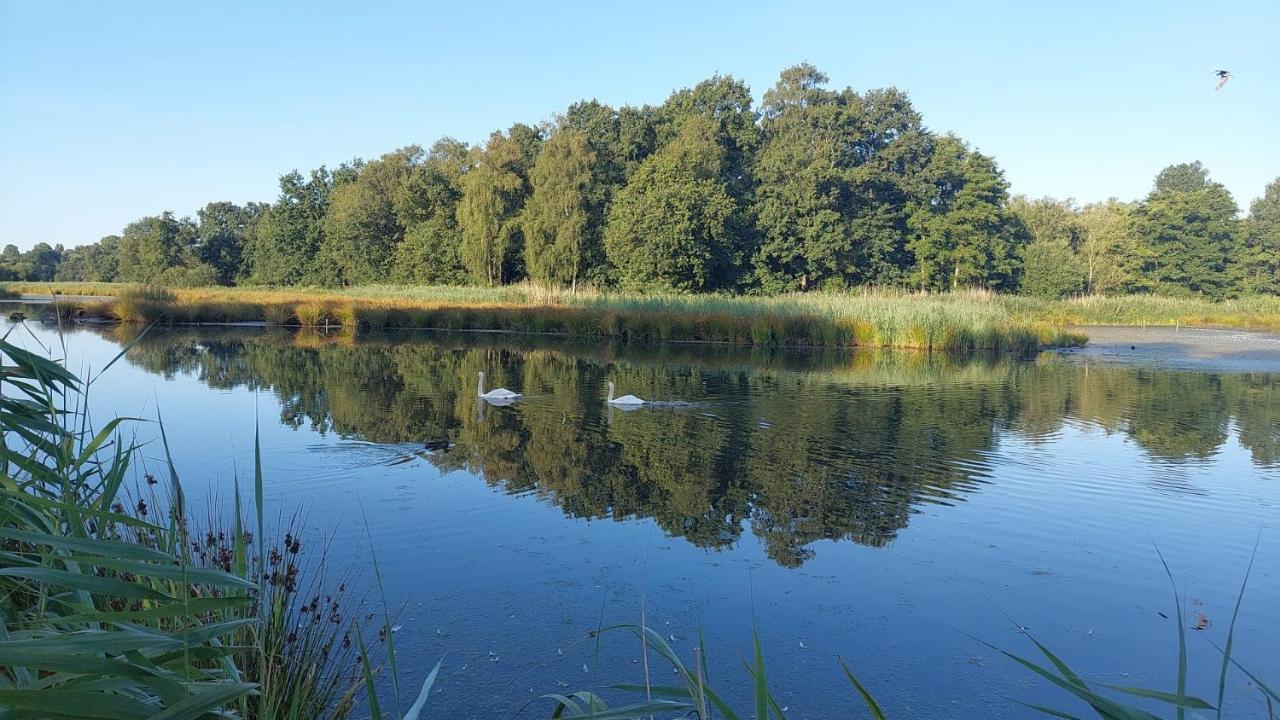 Helle Ferienwohnung In Nettetal Bei Venlo Dış mekan fotoğraf