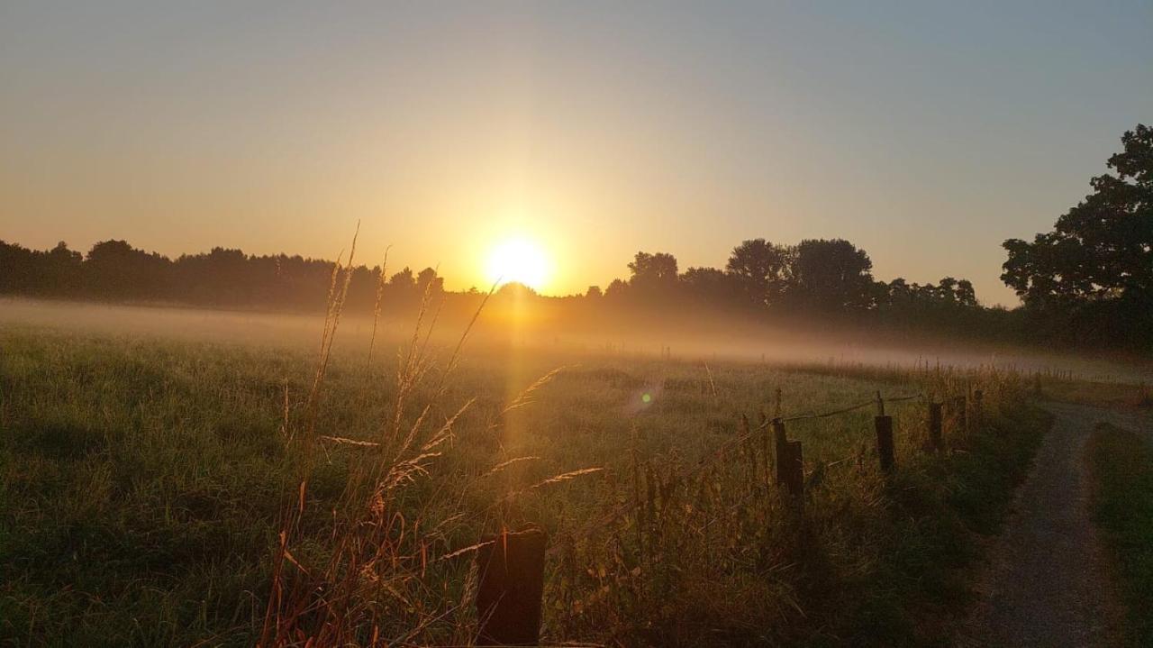 Helle Ferienwohnung In Nettetal Bei Venlo Dış mekan fotoğraf