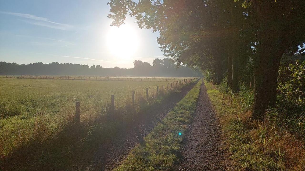 Helle Ferienwohnung In Nettetal Bei Venlo Dış mekan fotoğraf
