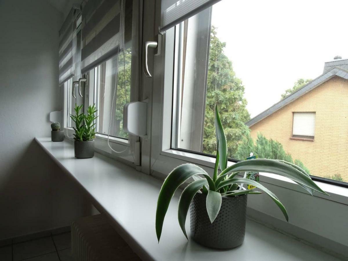 Helle Ferienwohnung In Nettetal Bei Venlo Dış mekan fotoğraf
